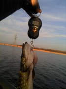 IMG_20131106_151202.jpg