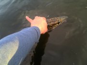 IMG_20131106_151222.jpg
