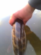 IMG_20131106_160624.jpg