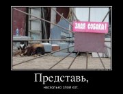 04.jpg