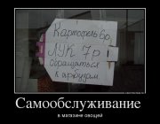 05.jpg
