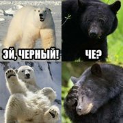 cbf9ee19c235c2d54d4b2a2c8977963b.jpg