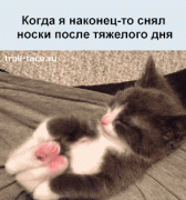 jiznenno_05.gif