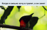 jiznenno_09.gif