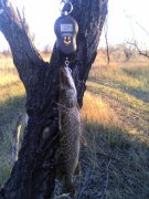 IMG_20131109_152020.jpg