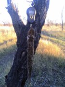 IMG_20131109_152139.jpg