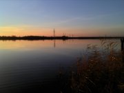 IMG_20131109_154232.jpg