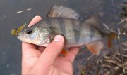 IMG_20131110_061418.jpg
