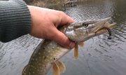 IMG_20131110_061324.jpg