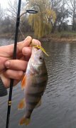 IMG_20131110_061356.jpg