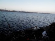 20131110065903.jpg