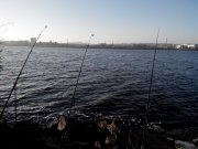 20131110074821.jpg