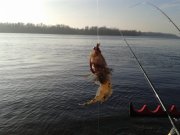 20131111_134928.jpg
