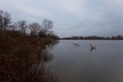 IMG_2859.jpg