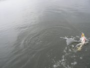 P1480663.JPG