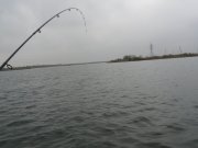 P1480697.JPG