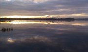 IMAG0335.jpg