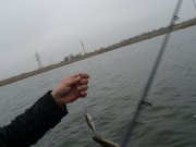 P1480767.JPG
