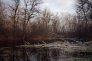 IMG_1154_resize.jpg