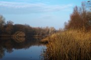 IMG_1185_resize.jpg