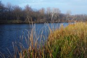 IMG_1192_resize.jpg