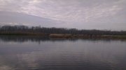 IMAG0377.jpg