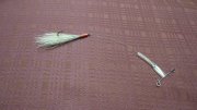 DSC02116.JPG