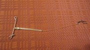 DSC02113.JPG