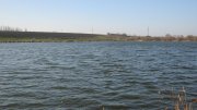 IMG_1921.jpg
