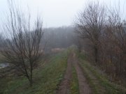 PB240036.JPG