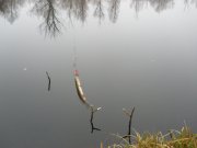 PB240050.JPG