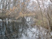 PB240062.JPG