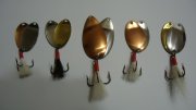 DSC02125.JPG