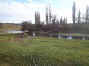 DSC01786.JPG