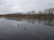 DSC01795.JPG
