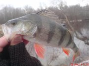 DSC01242.JPG