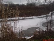 DSC01243.JPG