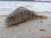 DSC01246.JPG