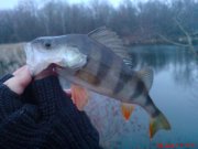 DSC01253.JPG