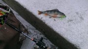 IMAG0483.jpg