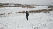 IMG_1931.jpg