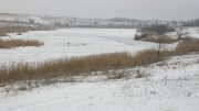 IMG_1932.jpg