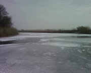 Photo-0003.jpg