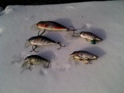 IMG_20131215_121623.jpg