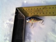 IMG_20131215_121755.jpg
