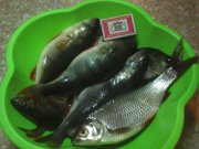 IMG_20131216_155754.jpg