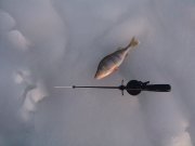 IMG_20131216_150108.jpg