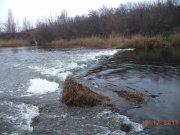 DSC01010.JPG