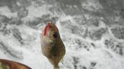 IMG_1956.jpg