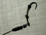 IMG_20131220_040211.jpg